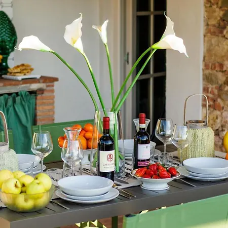 Holiday home Iole Capannori