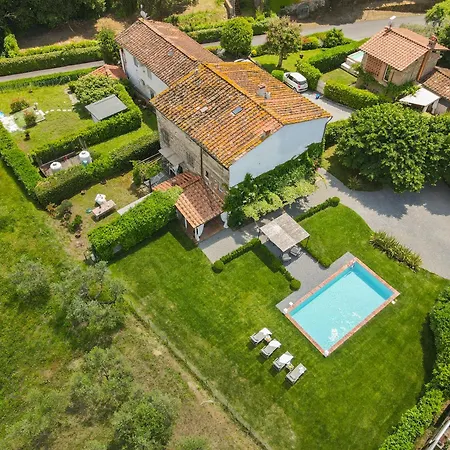 Iole * カパンノリ