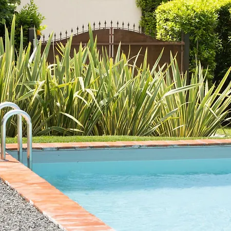 Iole * カパンノリ